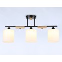 Накладной светильник Ambrella Light TR9551