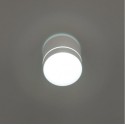 Накладной светильник Citilux CL745020N