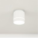 Накладной светильник Citilux CL745020N