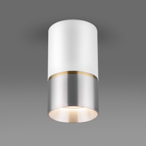 Накладной светильник Elektrostandard DLN106 GU10 белый/серебро