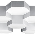 Накладной светильник Lightstar 750162