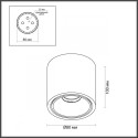 Накладной светильник Odeon Light 6619/10CL