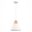Подвесной светильник Evoluce SLE125103-01 Подвесной светильник Evoluce SLE125103-01