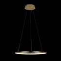 Подвесной светильник LOFT IT 10014M
