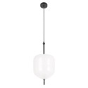 Подвесной светильник LOFT IT 10223/D White