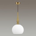 Подвесной светильник Odeon Light 4766/1