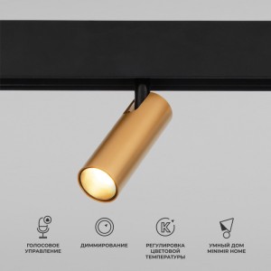 Светильник на шине Elektrostandard 85070/01 Slim Magnetic (латунь)