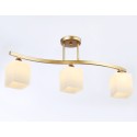 Накладной светильник Ambrella Light TR303121