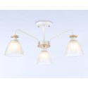 Накладной светильник Ambrella Light TR9562