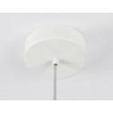 Подвесной светильник Ambrella Light TR5042