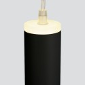 Подвесной светильник Elektrostandard DLR035 12W 4200K черный матовый