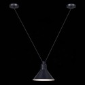 Подвесной светильник ST-Luce SL1804.403.01