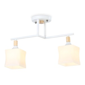 Накладной светильник Ambrella Light TR9484