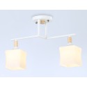 Накладной светильник Ambrella Light TR9484