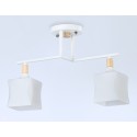 Накладной светильник Ambrella Light TR9484