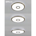 Накладной светильник Citilux CL703A43G