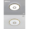 Накладной светильник Citilux CL703A43G