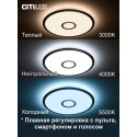 Накладной светильник Citilux CL703A43G