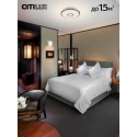 Накладной светильник Citilux CL703A43G
