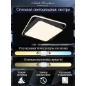 Накладной светильник Natali Kovaltseva INNOVATION STYLE 83111