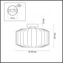 Накладной светильник Odeon Light 4746/1C