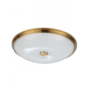 Накладной светильник Odeon Light 4956/5