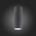 Светильник настенный ST-Luce SL074.411.02