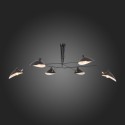 Накладная люстра ST-Luce SL305.402.06