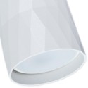 Накладной светильник ARTE Lamp A5557PL-1WH