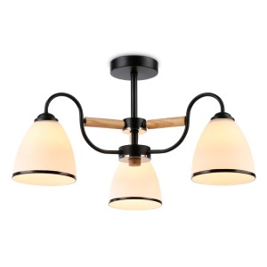 Накладной светильник Ambrella Light TR3033241