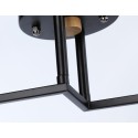 Накладной светильник Ambrella Light TR9486