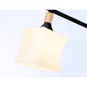 Накладной светильник Ambrella Light TR9486