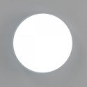 Накладной светильник Citilux CL72424V0