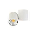 Накладной светильник Donolux A1594White/RAL9003