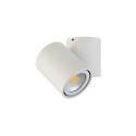Накладной светильник Donolux A1594White/RAL9003