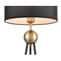 Настольная лампа Vele Luce VL5764N01