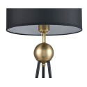Настольная лампа Vele Luce VL5764N01