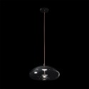 Подвесной светильник LOFT IT 8134-D