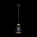 Подвесной светильник LOFT IT LOFT4402A-BL
