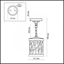 Подвесной светильник Odeon Light 2287/1