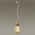 Подвесной светильник Odeon Light 5402/1