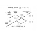 Подвод питания Lightstar 504116