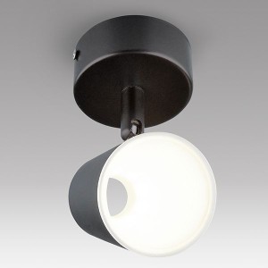 Спот Elektrostandard DLR025 5W 4200K черный матовый