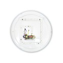 Накладной светильник Ambrella Light FF49