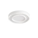 Накладной светильник Ambrella Light FL5821