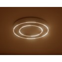 Накладной светильник Ambrella Light FL5821