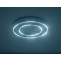 Накладной светильник Ambrella Light FL5821
