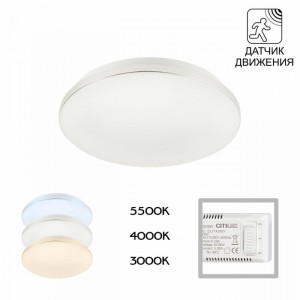 Накладной светильник Citilux CL71424SV