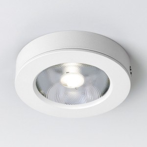 Накладной светильник Elektrostandard DLS030 10W 4200K белый