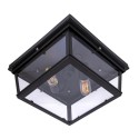 Накладной светильник LOFT IT LOFT3110-2C